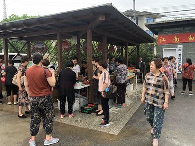 這輛車，“茶葉經濟”好乘涼”、“鄉村地攤”搭上“鄉村旅游”富民有新路