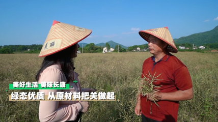 深山有嘉茗，一心出好茶｜這個夏天，長康帶你去探秘